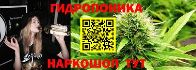 молекула духа Донской