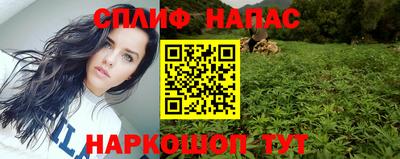 молекула духа Донской