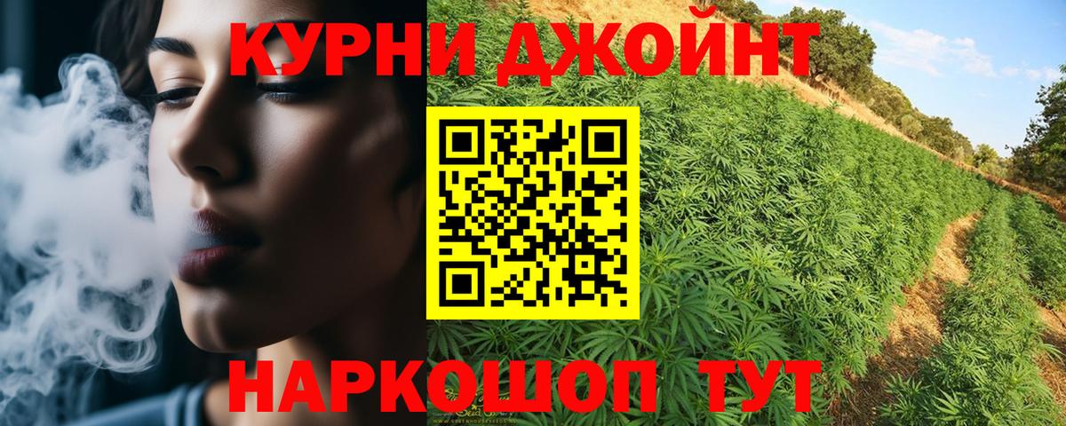 Конопля план Людиново